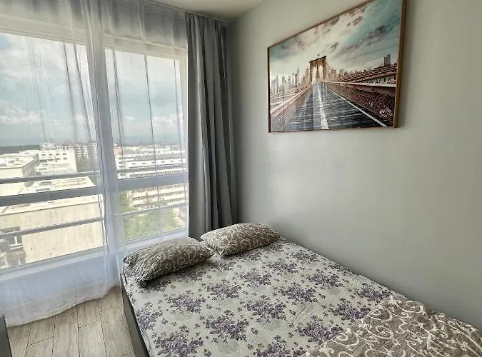 Best View Studio